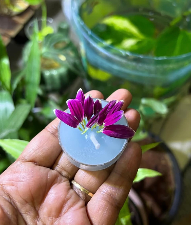 Affordable scented candles in Bangalore